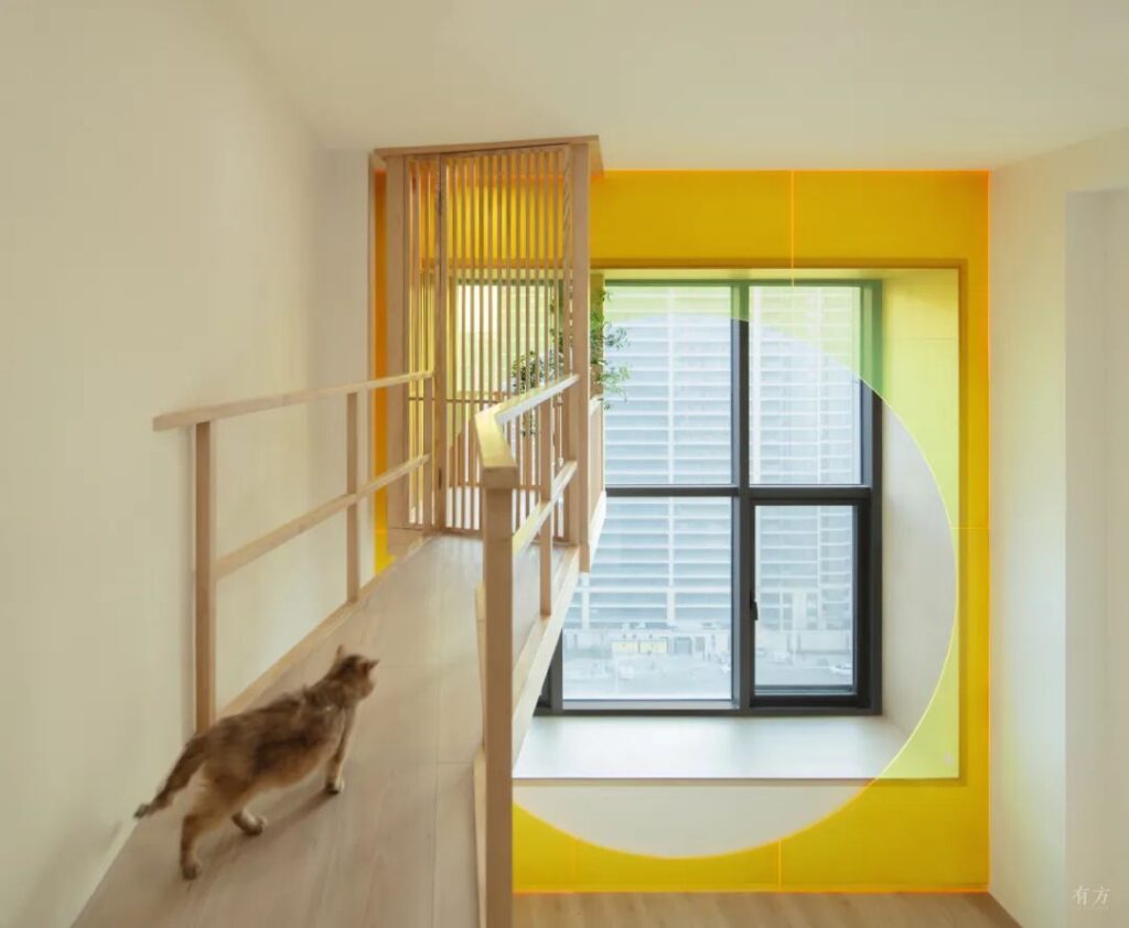 Macskák élnek egy lánnyal vagy egy lány él macskákkal? Macskák élnek egy lánnyal vagy egy lány él macskákkal?